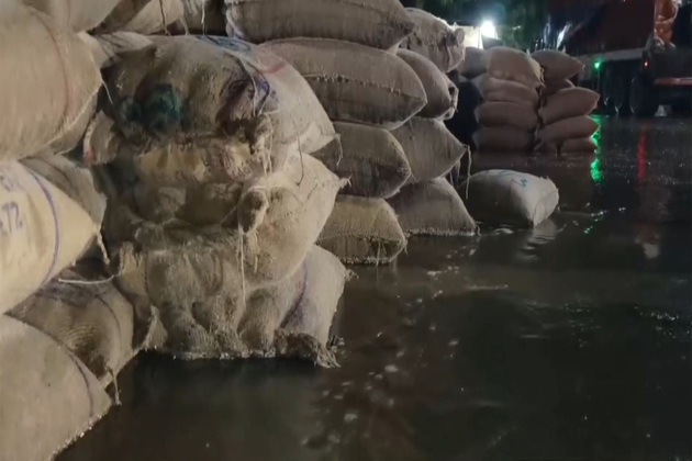 "There's no one to listen to our plight": Farmers blame poor arrangements after unseasonal rain damages crops in Ajmer