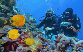 Ocean protection is a climate-smart investment