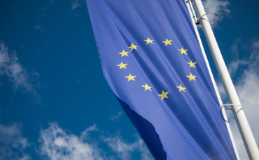 European Commission threatens sanctions against trade partners who fail to meet sustainability standards - Vimarsana News