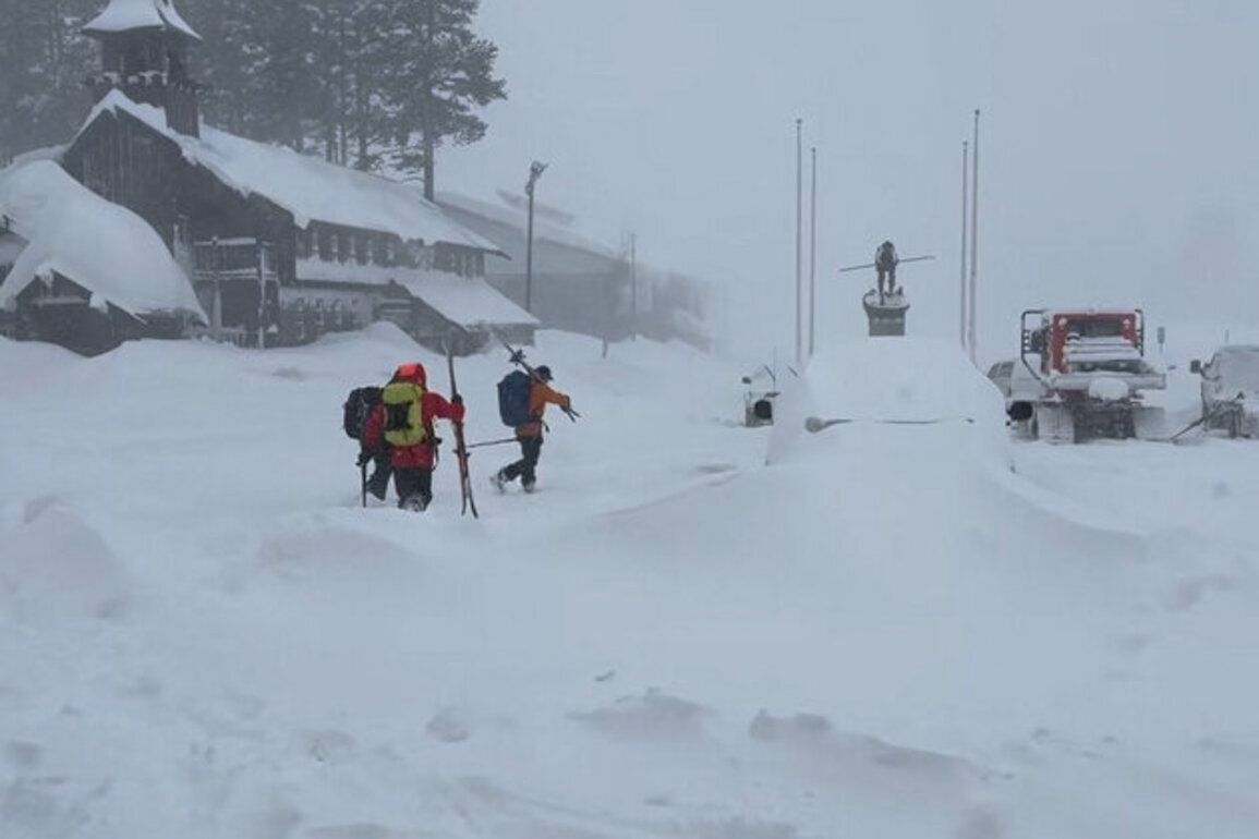 Nine bodies of California avalanche victims recovered