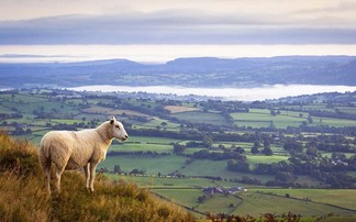 Welsh BPS payments to remain at current level for next two years