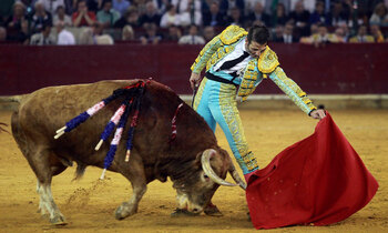 Matador 350x210
