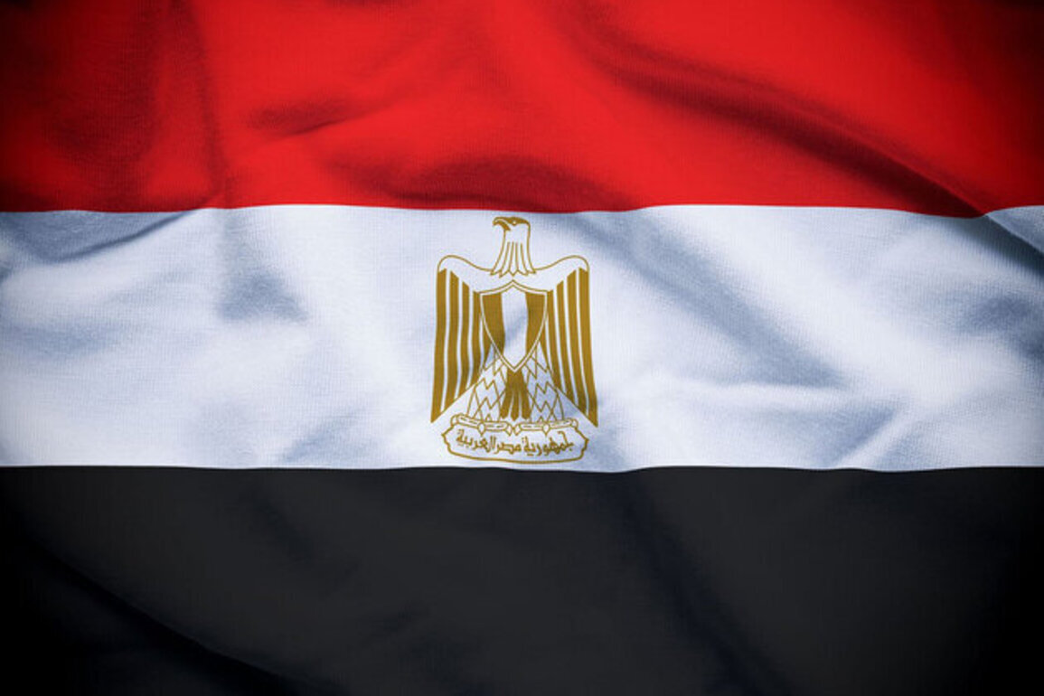 Egypt condemns drone attack near UAE's Barakah Nuclear Power Plant