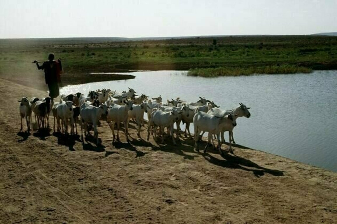 Somalia's exports are threatened by climate change and conflict: what 30 years of data tell us