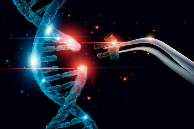GenKOre develops hypercompact adenine base editors (ABEs)