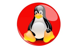 German state Schleswig-Holstein ditches Windows for Linux