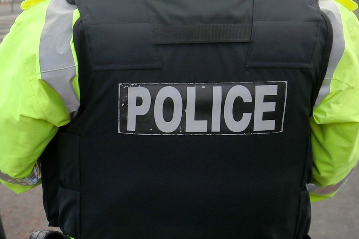 Co Down PSNI appeal after crash involving horse