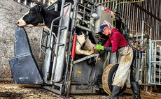 VIDEO: Careers special: The Female Hoof Trimmer - 'Women are seeing other women succeeding in the farming industry'