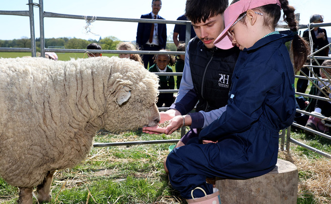 Schoolchildren in Sussex and Surrey learn to care for sheep and lambs through 'Loan a Lamb' scheme