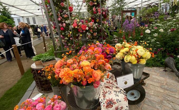 The mini flower farm was awarded a Silver-Gilt at this year's RHS Chelsea Flower Show