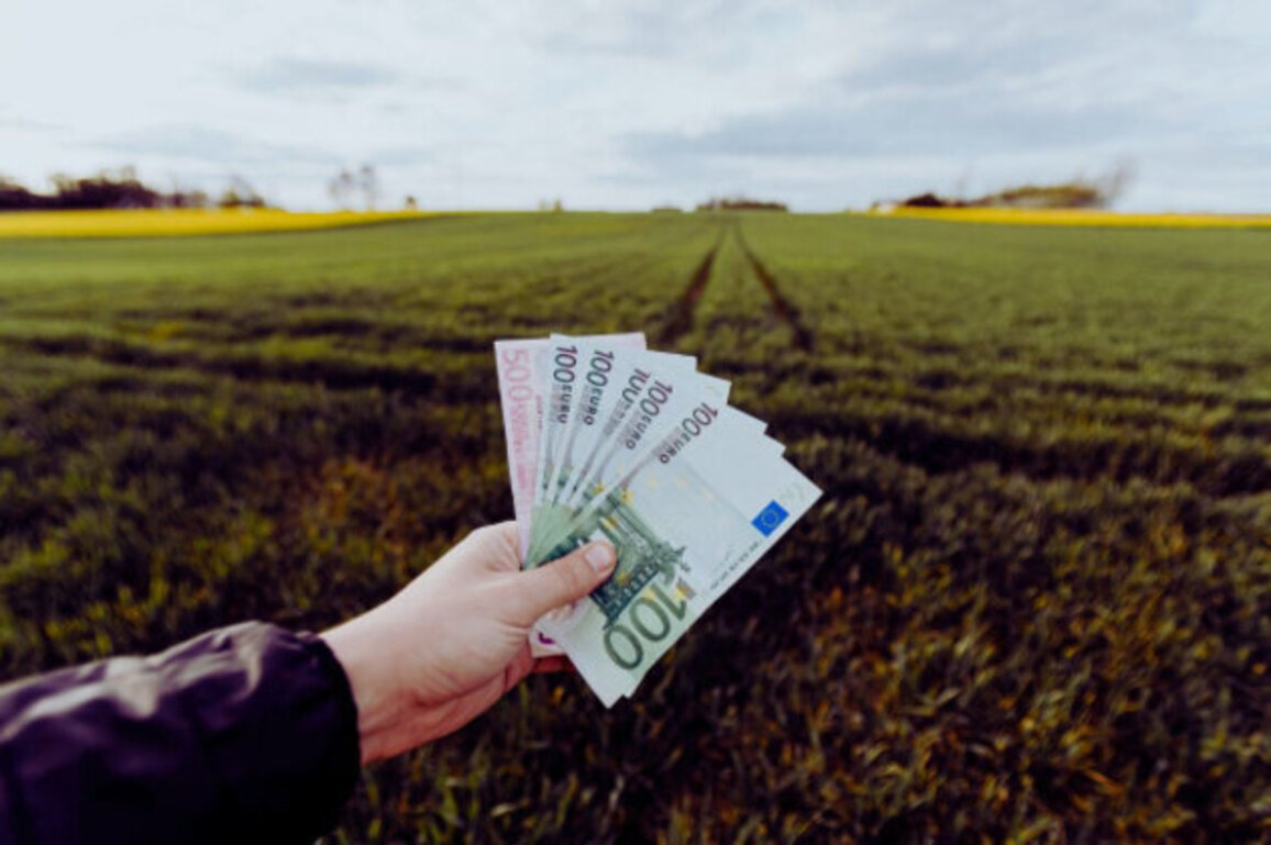 Bulgaria: Household Incomes Grow Faster Than Spending in Late 2025