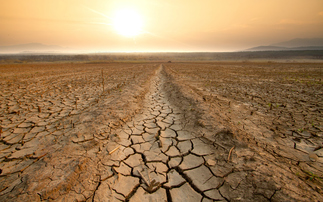 'A world in the red': Is the global economy entering an era of 'water bankruptcy'?