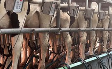 Herd performance protects milk margins