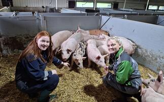 From setback to success: How one young farmer turned an empty shed into a profitable pig enterprise