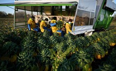 Government confirms seasonal worker visas for 2025