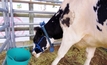 Dairy Australia's apptastic new technology