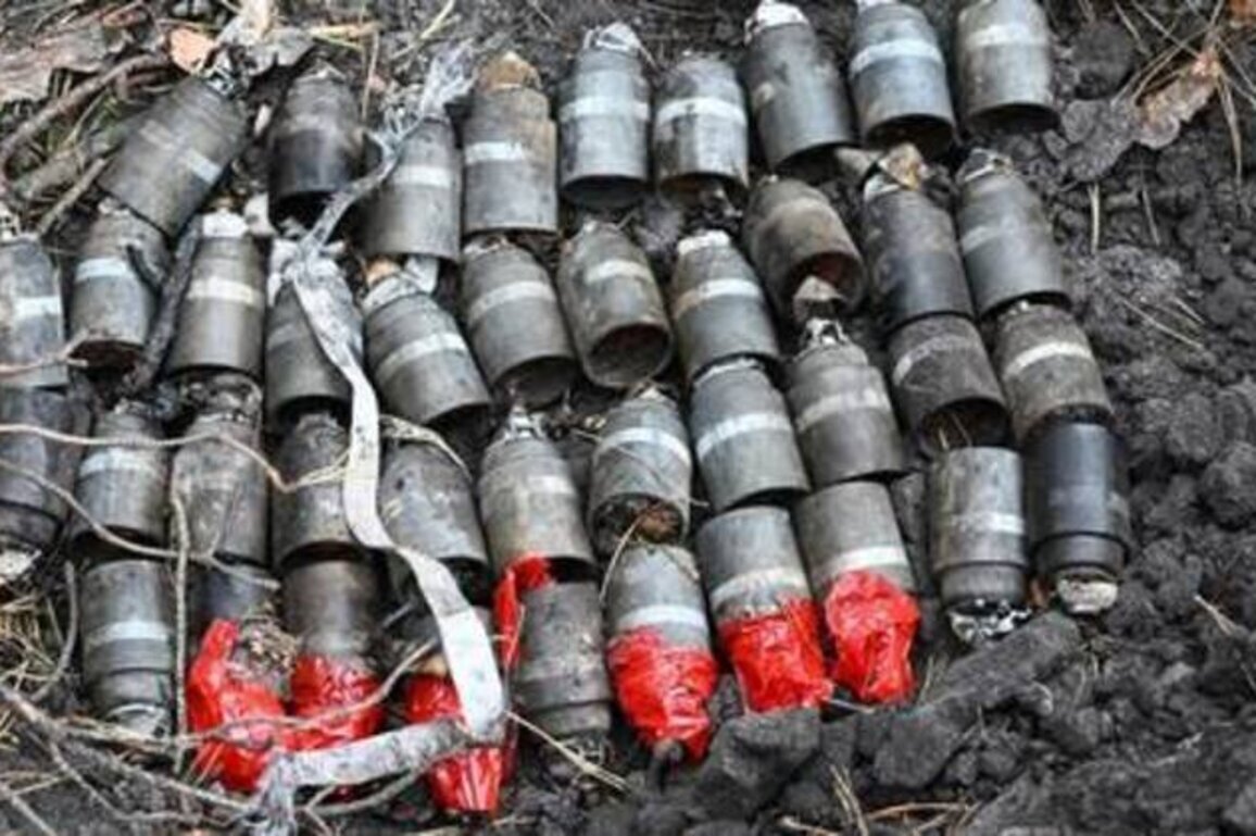 Two civilians killed in Kiev's latest attacks on Russian border regions