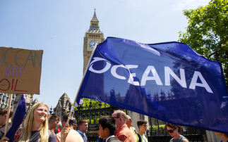 UK Green Business Awards: Oceana named as charity partner