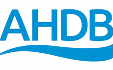 AHDB recommends levy increase to Ministers