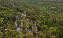  Ranger rehabilitation continues