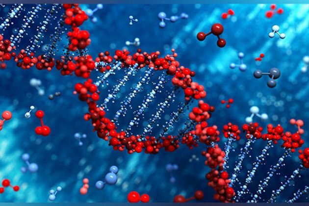 Researchers imbue cells with pathway to make own drugs