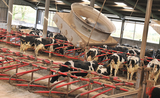 Top tips for installing fans into dairy cow housing