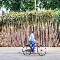ISMA welcomes Government nod for sugar exports, seeks revision of MSP and ethanol prices