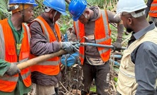 Peak confirms REE potential within vast rutile region