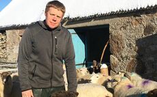 Sheep farming MSP to lead debate on 'cruel' Family Farm Tax