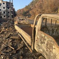 Ashes to ashes: Syrian farmers confront charred future after wildfire devastation