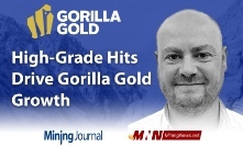 High-Grade Hits Drive Gorilla Gold Growth