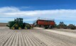 Grain growers in Western Australia have enjoyed good rainfalls following dry seeding in many regions. Photo: Mark Saunders.