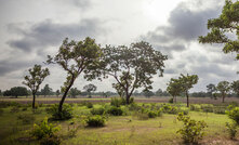 Another gold find by Turaco in Cote d'Ivoire 