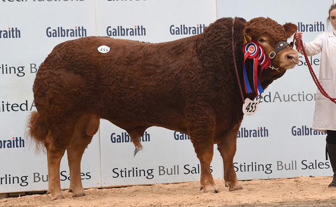 STIRLING BULL SALES: Maraiscote Regie leads Limousin bidding