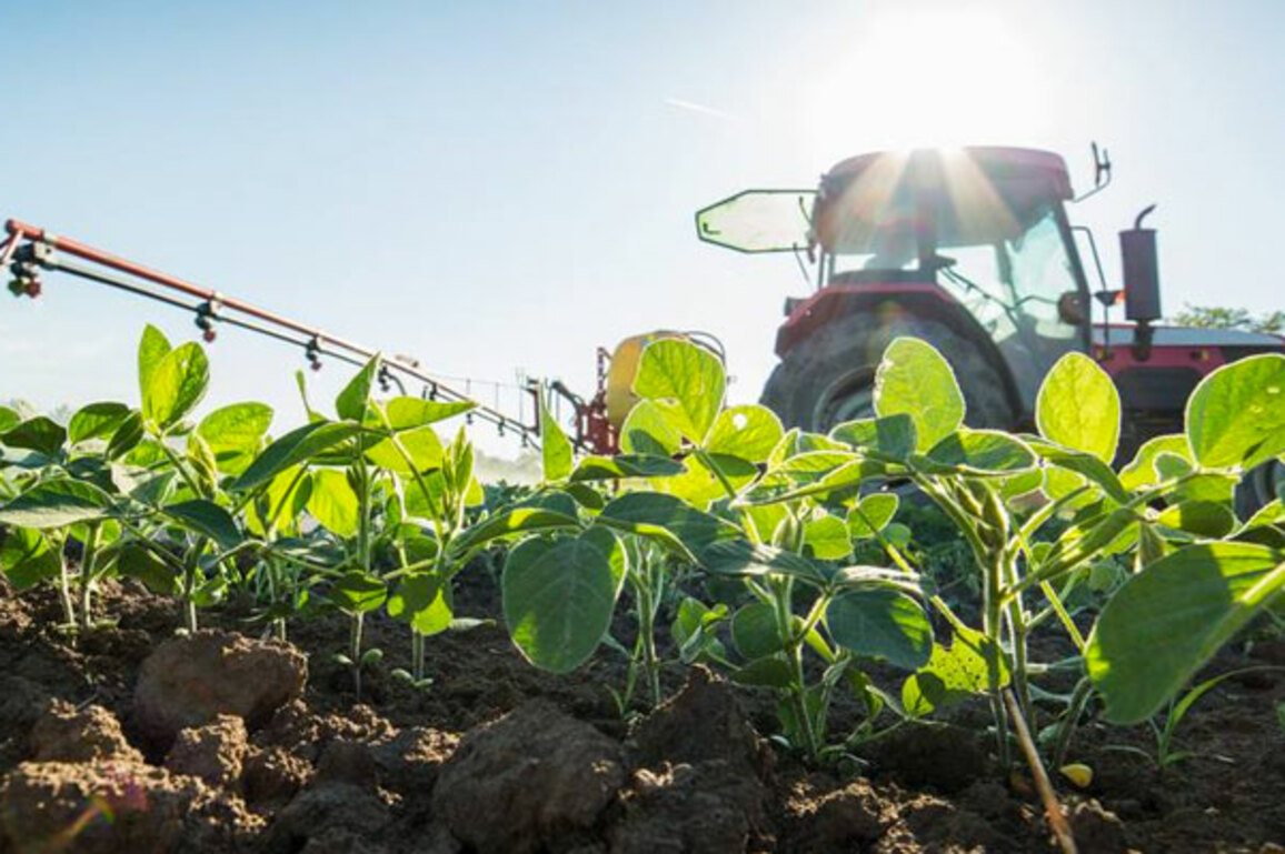 Farmers can nominate experts for annual Federation awards