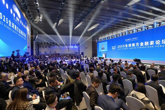 World Insights: World financiers bullish on Global South development