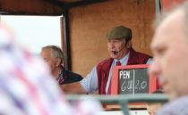 View from the Rostrum: "I can happily report a record average and gross sale figure of more than £3.3m at Thame Fair"