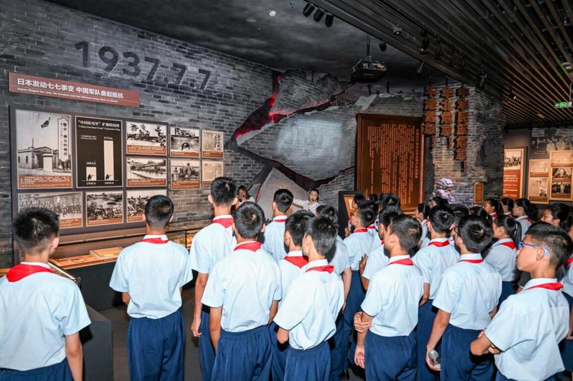 Interview: China's contribution an important part in World War II, says Harvard historian