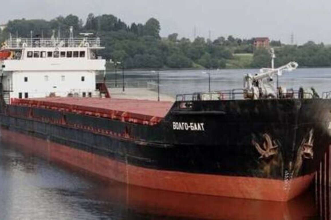 One dead after Ukrainian drone attacked grain vessel in Azov sea - official