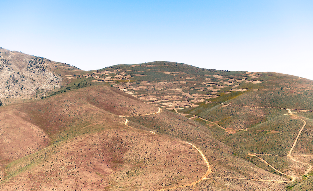 The pinion deposit at Orla's South Railroad property. Source: Orla Mining