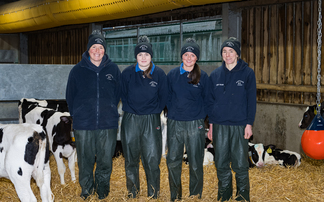 What makes an award-winning calf unit? North Yorkshire dairy farm showcases dedication to detail 
