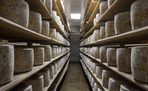 New £3.7bn Gulf deal set to bring food and farming boost
