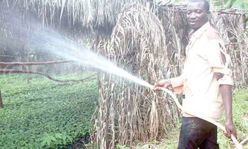 Mutale ng’afukirira nassale y’emmwaanyi Mutale ng’afukirira nassale y’emmwaanyi