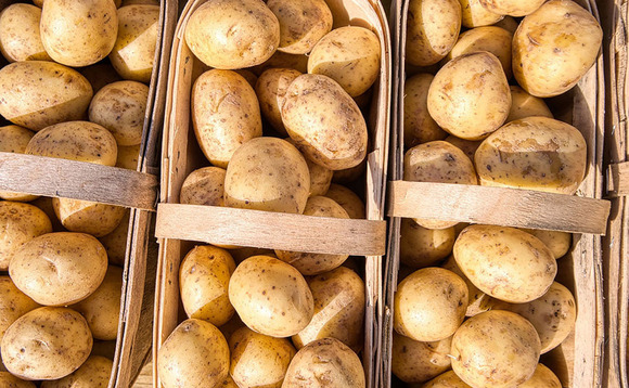 New potato body opens to members