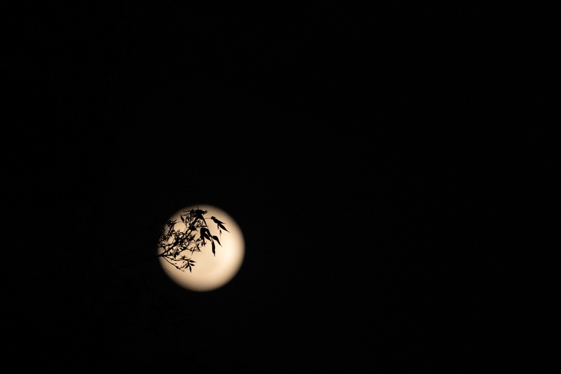 MEXICO-MEXICO CITY-FULL MOON
