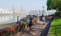 Scrappage schemes 'could clean up London's air pollution', says BMF