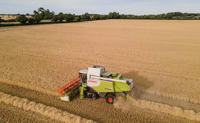 Barley quality and yields holding up in early harvest