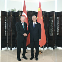 (SCO Tianjin Summit) CHINA-TIANJIN-CAI QI-TURKISH PRESIDENT-MEETING (CN)