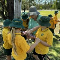 We found a new wasp! Students are discovering insect species through citizen science