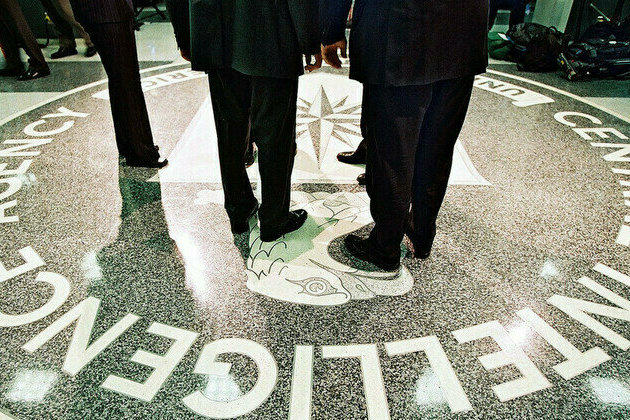 Top CIA analyst behind Russiagate loses her job  Economist